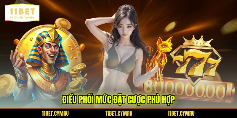 Điều phối mức đặt cược phù hợp